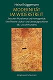 Modernität im Widerstreit: Zwischen Pluralismus und Homogenität: Eine Theorie-, Kultur- und Literaturgeschichte (18.-20. Jahrhundert)