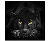 Eau Zone Wandbild auf Leinwand 60x60cm schwarzer Panther