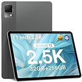 DOOGEE T30 Ultra Tablet 11 Inch, Helio G99 Octa-Core 2.2GHz Tablet, 32(12+20) GB RAM 256GB ROM (TF 2TB), 8580mAh/18W, 2.5K Display, 16+8MP & TÜV & 2.4G/5G WiFi, Widevine L1, Android 13, Grey