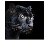 Eau Zone Wandbild auf Leinwand 60x60cm schwarzer Panther auf schwarzem Hintergrund – Nahaufnahme