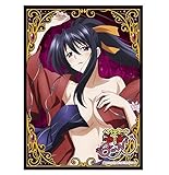High School DxD BorN Akeno Himejima Card Game Character Sleeve Collection Mat Series No.MT244 Anime Girl Japan Import